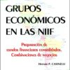 Grupos Economicos En Las Niif Hernan Pablo Casinelli