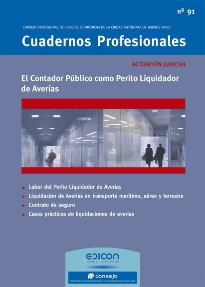 Cuadernos Profesionales N° 91 - El Contador Publico