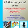 El Balance Social En Las Normas Profesionales Argentinas