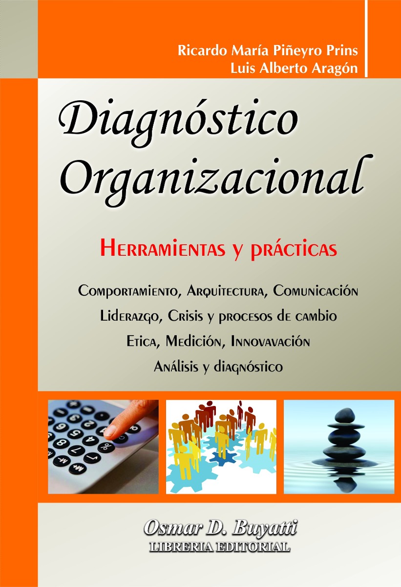 Diagnóstico Organizacional Aragón Piñeyro Prins