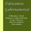 Fideicomiso Gubernamental
