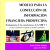 Modelo Para La Confección De Información Financiera
