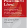 Procedimiento Laboral Ley 11.653