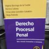 Derecho Procesal Penal Una Mirada Innovativa E Inclusiva