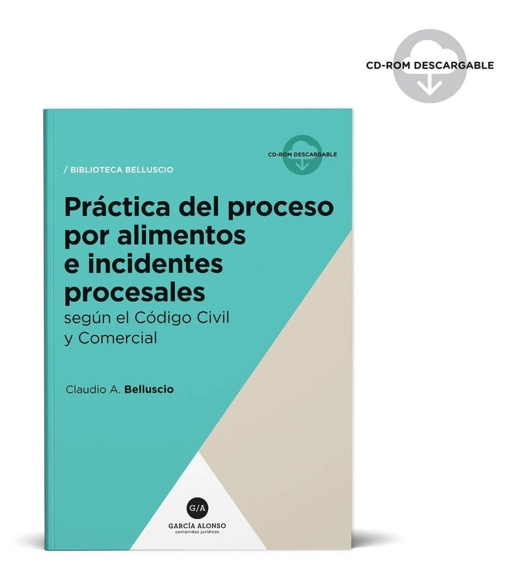 Practica Del Proceso Por Alimentos E Incidentes Procesales