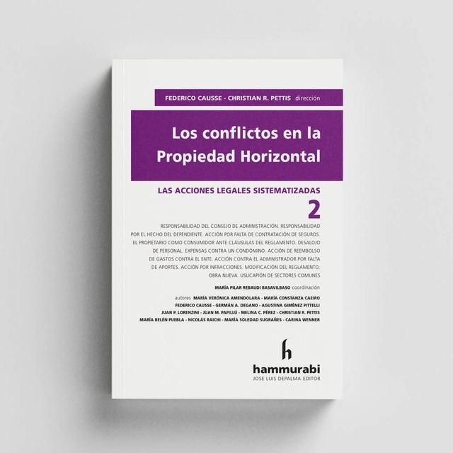 Los Conflictos En La Propiedad Horizontal 2