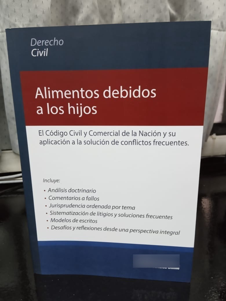 Alimentos Debidos A Los Hijos