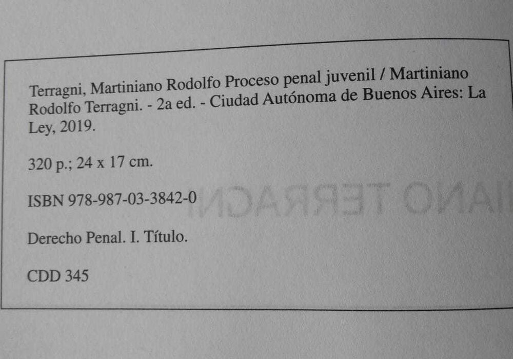 Proceso Penal Juvenil Practica Y Jurisprudencia - Imagen 2