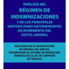 Análisis Del Régimen De Indemnizaciones - Samouelian