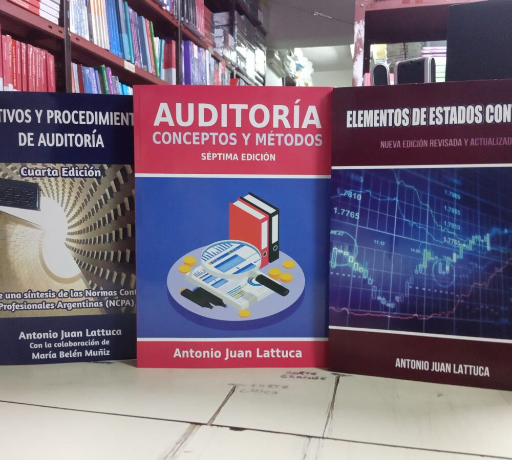 Combo Auditoria Conceptos + Objetivos + Elementos Lattuca