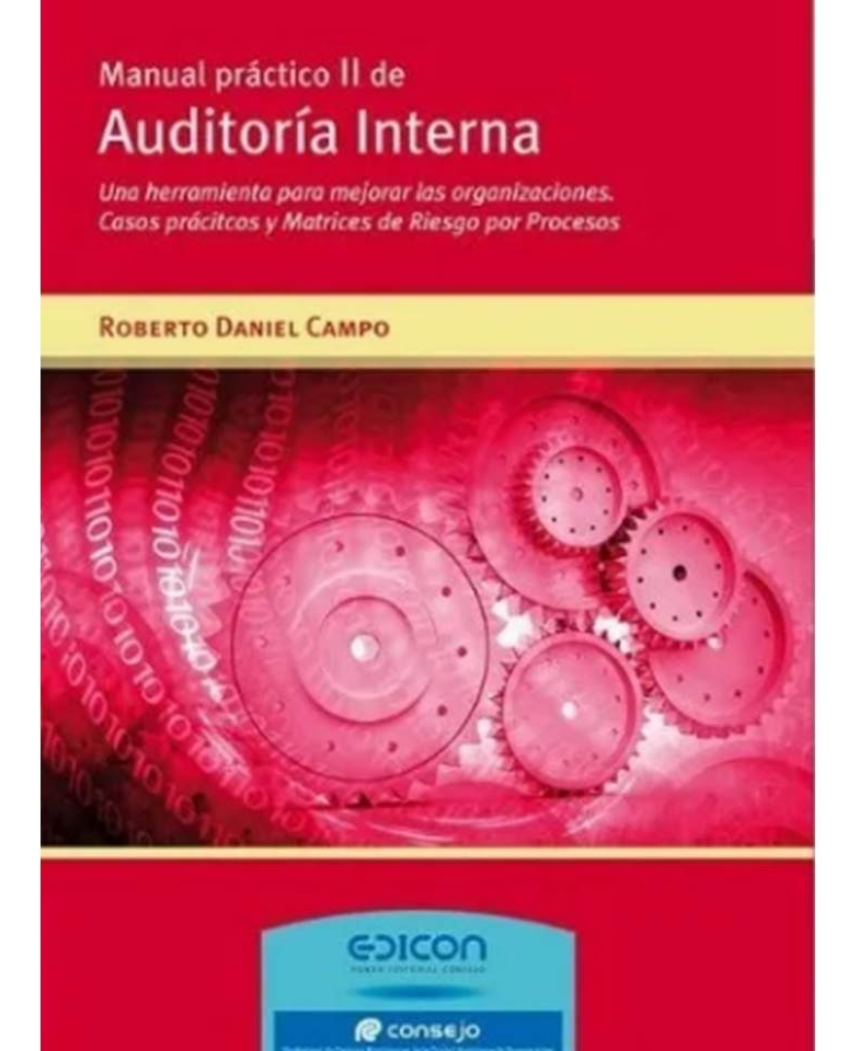 Manual Práctico 2 De Auditoria Interna - Roberto Campo