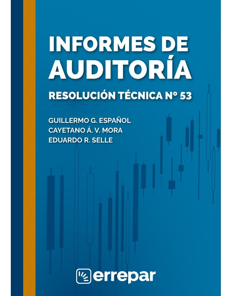 Informes De Auditoria Resolucion Tecnica N° 53