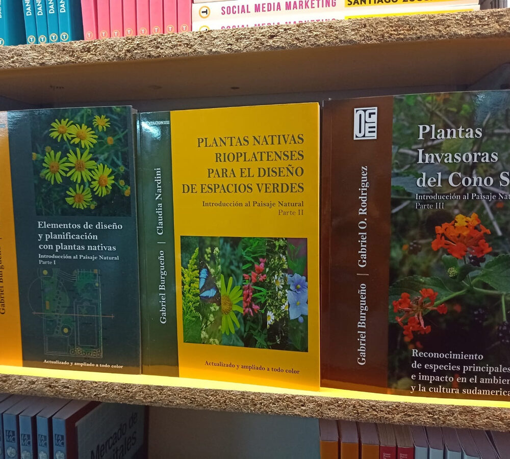 Combo De Plantas Nativas