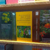 Combo De Plantas Nativas