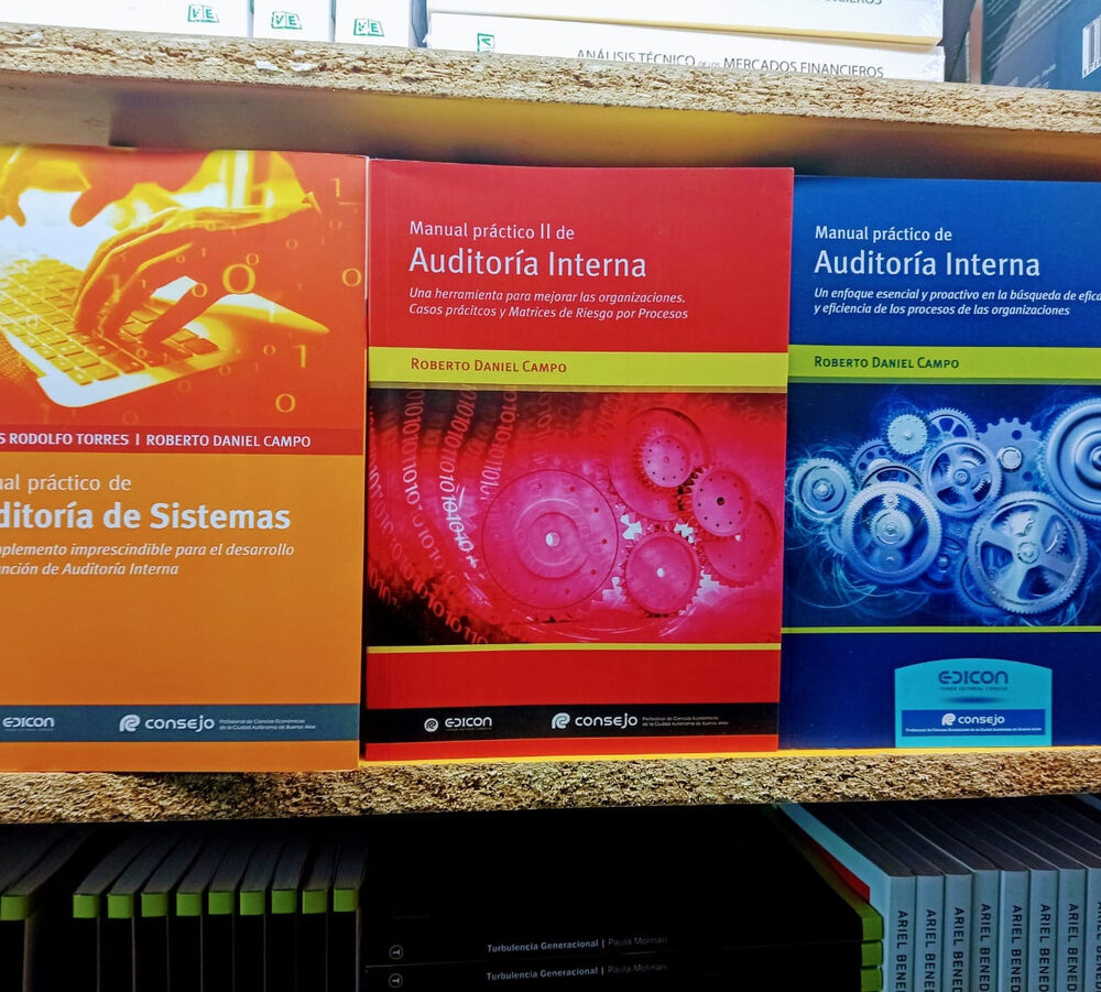 Combo Manual Practico De Auditoria Interna