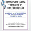 Modernizacion Laboral Y Promocion Del Empleo Registrado