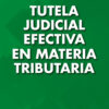 Tutela Judicial Efectiva En Materia Tributaria, De Coronello, Silvina Érica., Vol. 1. Editorial Errepar, Tapa Blanda, Edición 1ra En Español, 2024